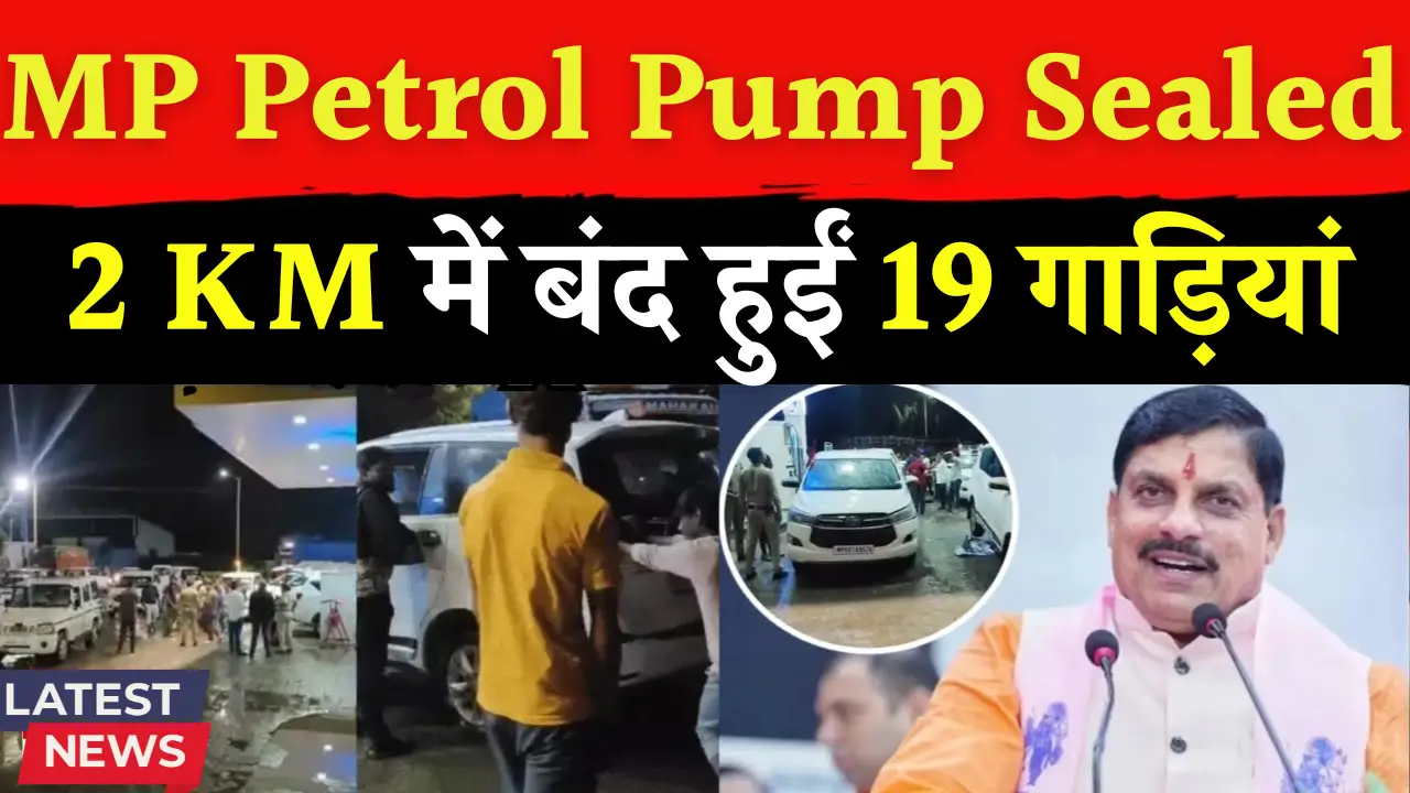 MP Petrol Pump Seal