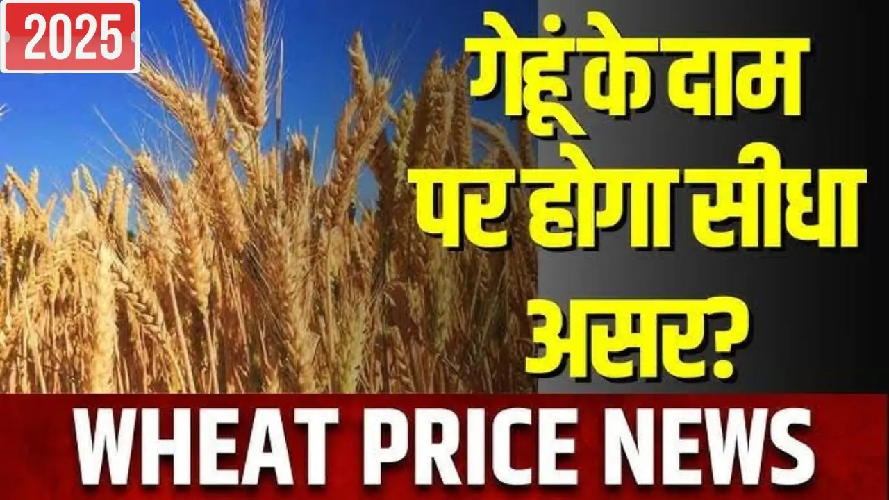 Wheat price