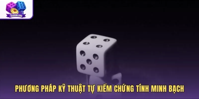 Dấu hiệu tài xỉu bịp và quy trình đối soát mã băm
